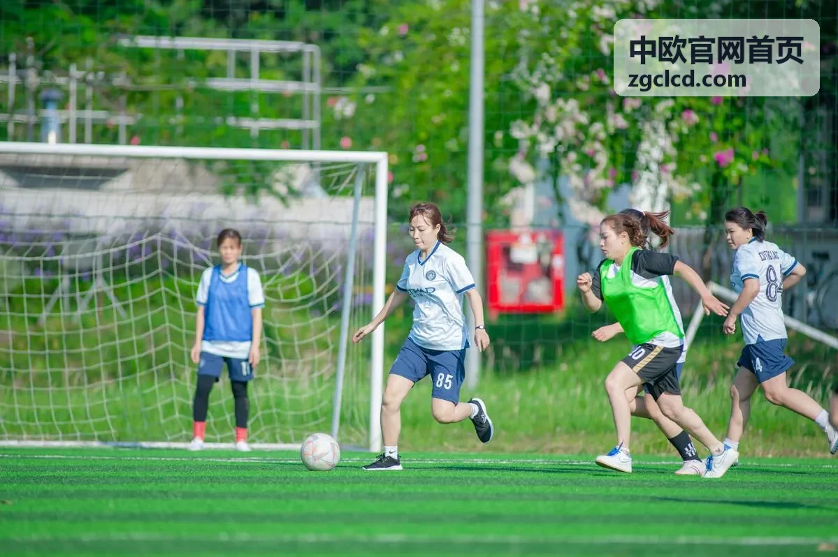中欧官网首页订舱集货场景：工厂提货与装箱加固